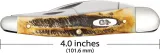 Case Cutlery Seahorse Whittler 6.5 Bonestag CA65347
