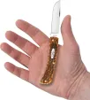 Case Harvest Orange Peach Seed Jig CA66694