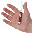Case Peanut Ruby Stardust CA67007