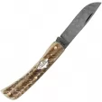 Case Sod Buster Jr Vintage Bone CA77461