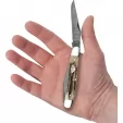 Case Muskrat Vintage Bone CA77463