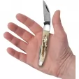Case Seahorse Whittler Vintage CA77464