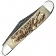 Case Peanut Vintage Bone CA77467