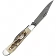 Case Peanut Vintage Bone CA77467