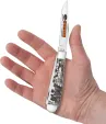 Case Cutlery Sportsman Trapper Bear CA81223