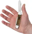 Case Canoe Golden Pinecone CA81802