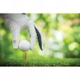 Caliber Gourmet Tactical Golf Tee CBGTEE