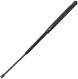 Streetwise Products Expandable Baton 21\
