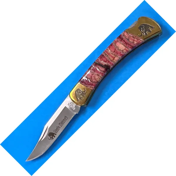 Buck Buck Brian Yellowhorse 110 knives CH135