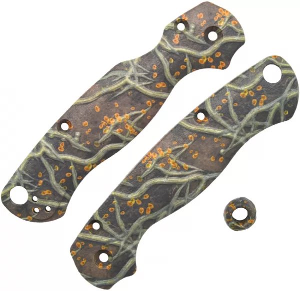 Chroma Scales Para 2 Roots Scales CHR10010701
