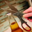 Clauss True Professional Shears CL18052