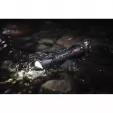 Coast PS500R Flashlight knives CTT30765