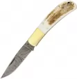 Damascus Lockback Stag - DM1168