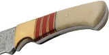 Damascus Admiral Fixed Blade Bone Red knives DM1394RD
