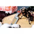 Dovo Facharbeit 6-8in Straight Razo DOV136813315