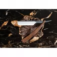 Dovo EDO 5-8 Straight Razor Walnut DOV1658009141