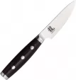 Dragon by Apogee Dragon Fire Paring Knife - DRG00812