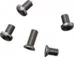 Flytanium Arcade Screw Set Satin TI - FLY1284S