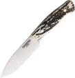 Forester Terra Fixed Blade Stag - FOR002CI