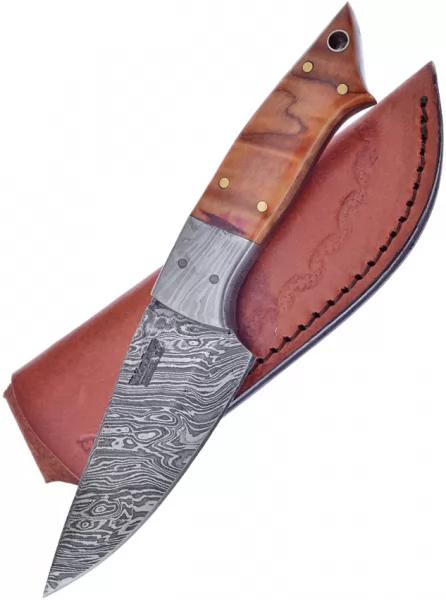 Frost Cutlery Fixed Blade Olive Wood knives FVFD81OW