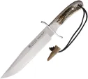 Joker Bowie 9.45 - JKRCC139