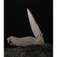 KARBON Buck Horn Linerlock Gray Al KARB119