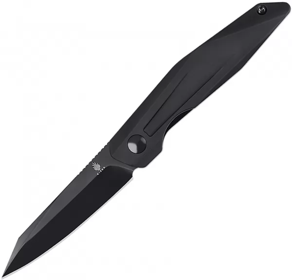 Kizer Cutlery Spot Linerlock Black KIV3620C2