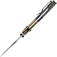Kizer Cutlery Mini Mystic Clutch Lock Mic KIV3636A2