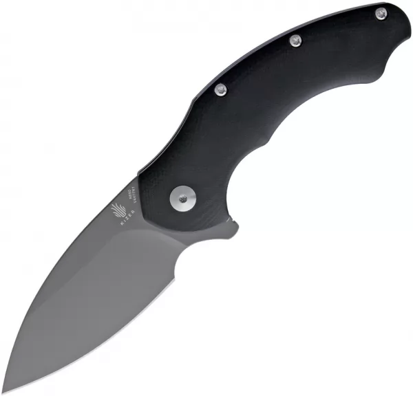 Kizer Cutlery Roach Linerlock Black KIV4477N1