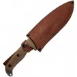 Kizlyar Shark Fixed Blade PGK Walnut KK0101