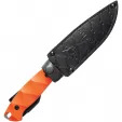 Kizlyar Severus Fixed Blade D2 Org KK0145