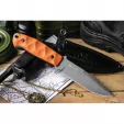 Kizlyar Severus Fixed Blade D2 Org KK0145