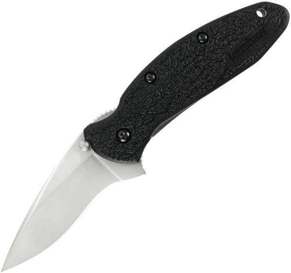 Kershaw Scallion Linerlock A-O Black knives 1620