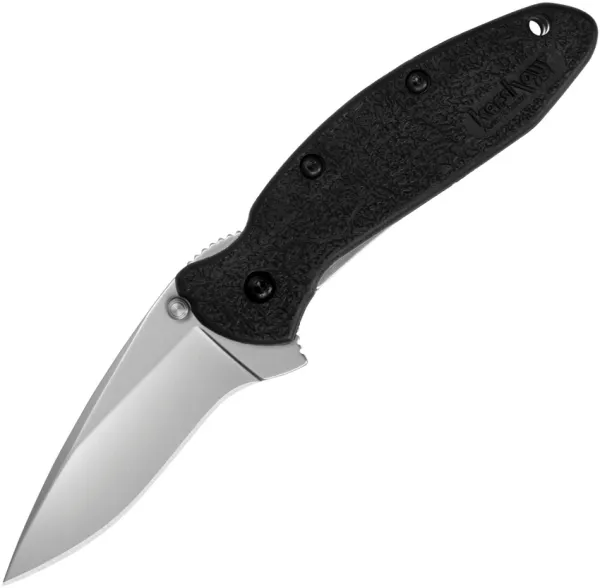 Kershaw Scallion Linerlock A-O Black knives KS1620ACAX