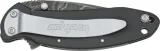 Kershaw Scallion Framelock A-O Dam knives 1620DAMBK