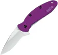 Kershaw Scallion Linerlock A/O Purple - KS1620PUR
