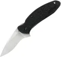 Kershaw Scallion Linerlock A/O Black - 1620