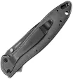 Kershaw Leek Framelock A-O BlackWash knives KS1660CBBW