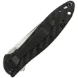 Kershaw Leek Linerlock A-O CF knives KS1660CF