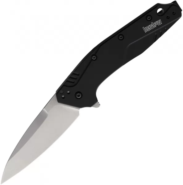 Kershaw Dividend Linerlock A-O 20CV knives KS1812BLK20CV