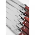 Laguiole LA TOUR Premium Steak Knife Set LAGKPWD