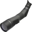 Leupold SX-4 Pro Guide 20-60x80 Angled LP185679