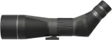 Leupold SX-4 Pro Guide 20-60x80 Angled LP185679