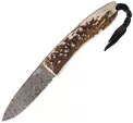 LionSTEEL Opera Damascus Stag - LST8800DCE