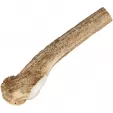 Knifemaking Crown Stag Roll M4433