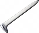 Miscellaneous Silver Railroad Spike - MI232