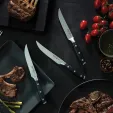 Messermeister Avanta Steak Knife Set MSML768454S