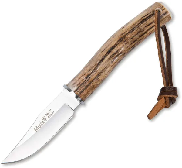 Muela BW-6A Fixed Blade Stag knives MU221