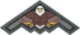 Maxpedition B2 Bomber Eagle Patch Color - MXB2EAC
