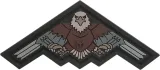 Maxpedition B2 Bomber Eagle Patch Tact - MXB2EAS